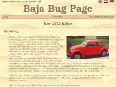 Baja Bug Page